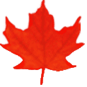 maple leaf
